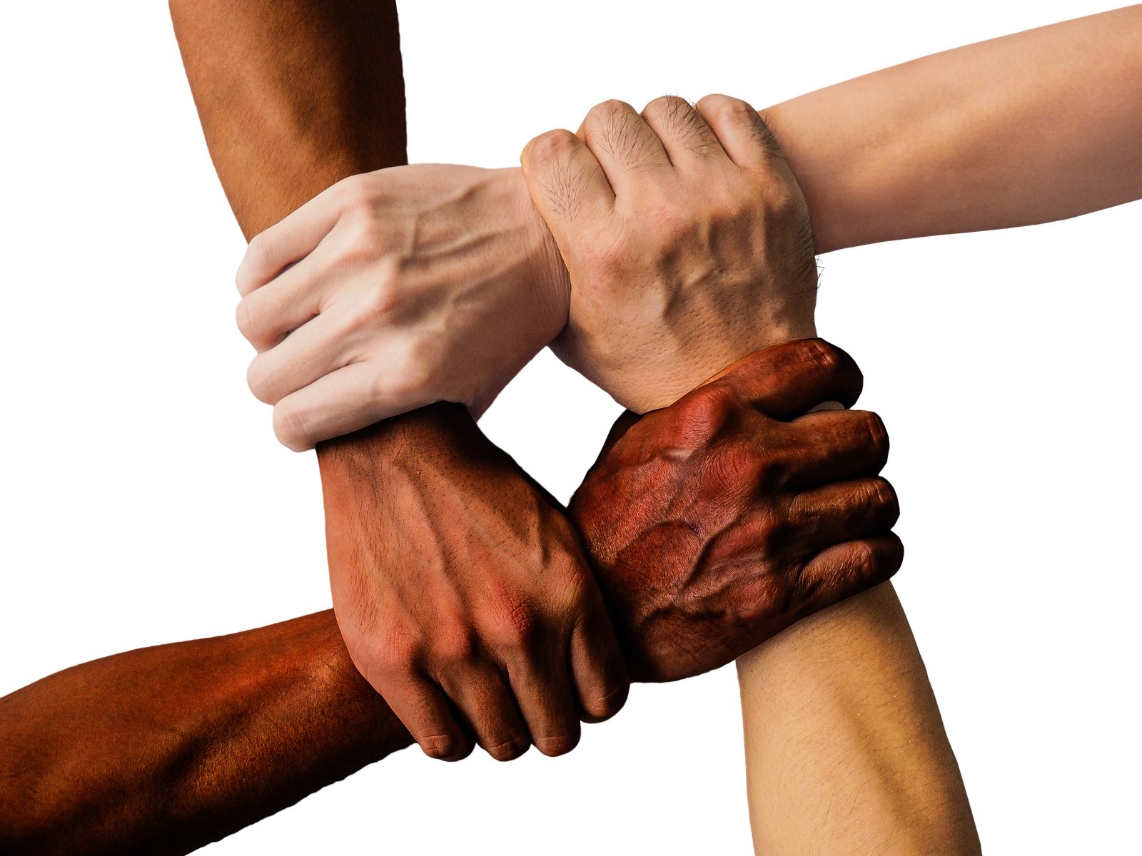 Unity of all races