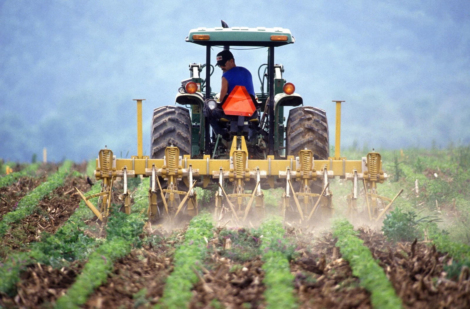 Farmers